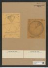 Aulacodiscus decorus Grev. (de-Toni-Nr.: Genus 182, Species 4501) Zeichnungen Sammlung Grunow Nr. 8066 (NHMW-BOT-W0377389)